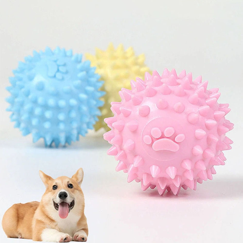 Dog Chew Toy Footprint Spiked  - Spike Ball Game 리뷰 및 가격