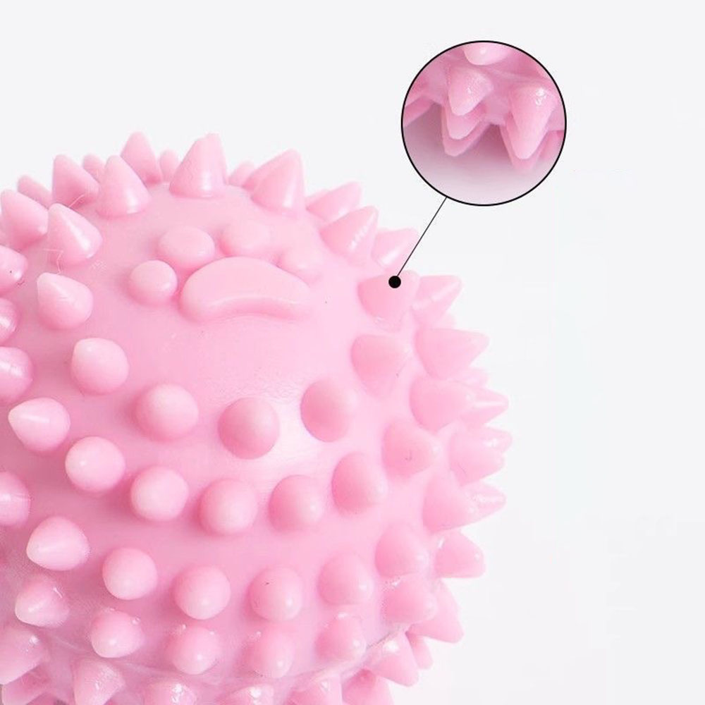 Dog Chew Toy Footprint Spiked  - Spike Ball Game 리뷰 및 가격