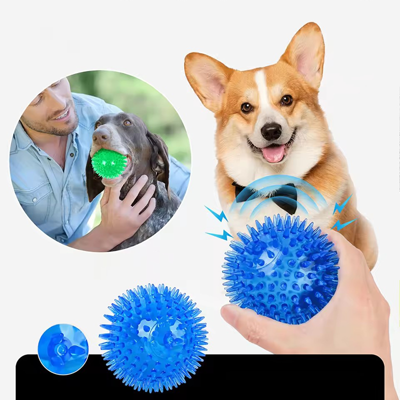 TPR Squeaky Spiked Dog Ball Ch - Spike Ball Game 리뷰 및 가격